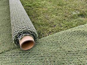 County Hybrid 32 Grass