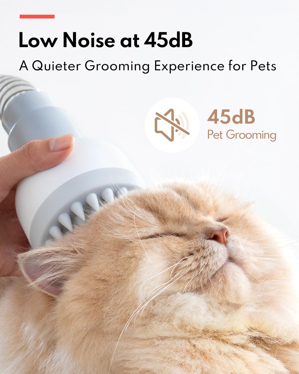 HomeRunPet Ultra Quiet Pet Vacuum, Suction 99% pet Hair, 6 Tool Grooming Kit, Anti Shedding, 1.85L Dust Cup, Home Grooming & Cleaning for Dogs, Cats, Others