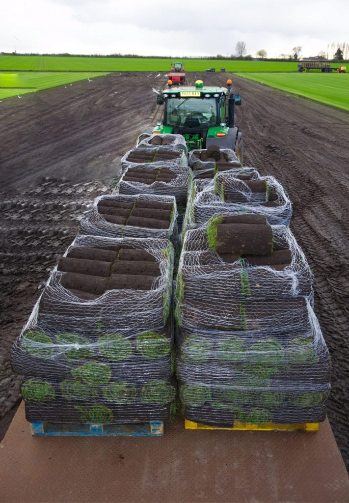 50 Quality Turf Rolls £216 Including Delivery