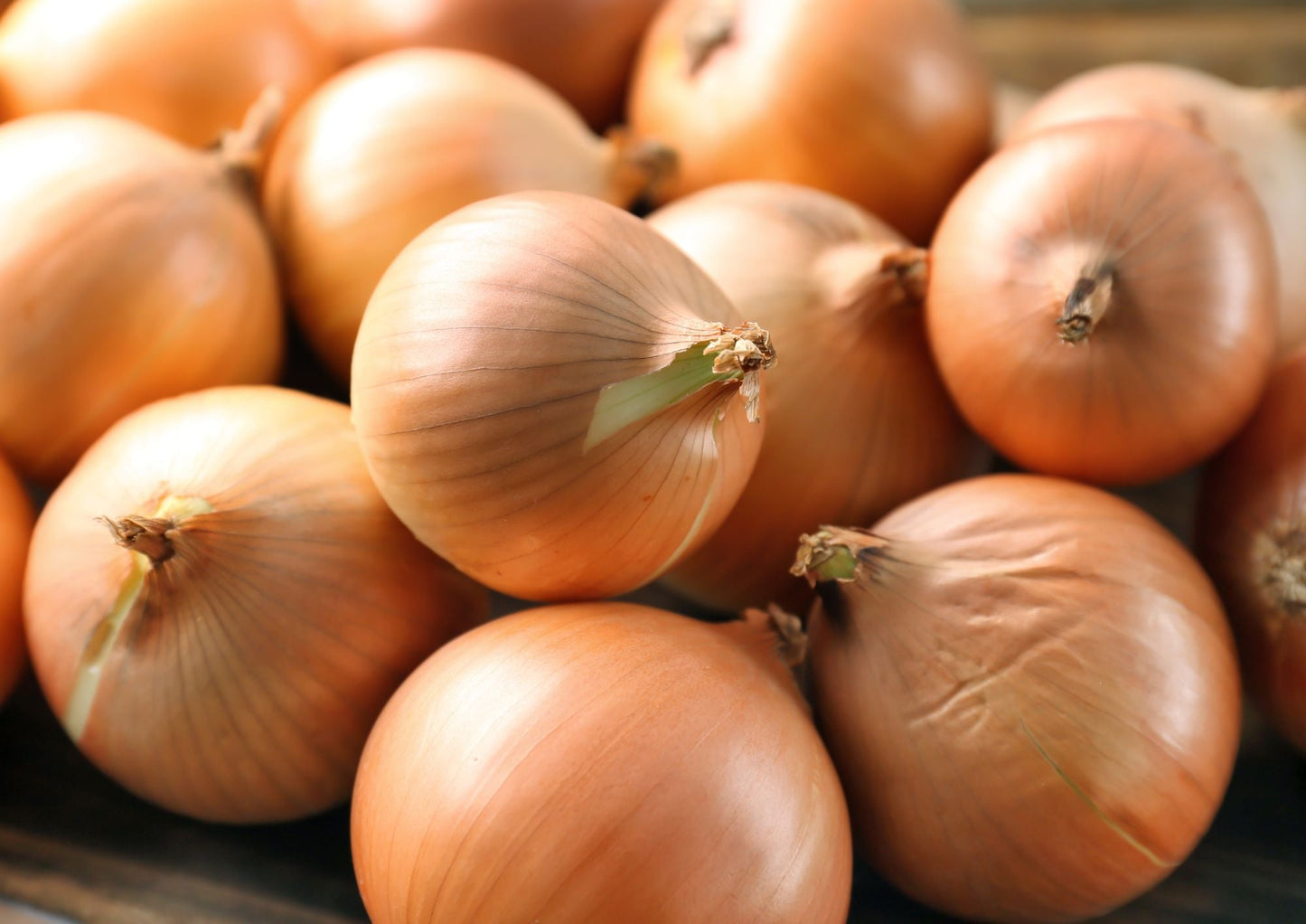 Onion Ailsa Craig