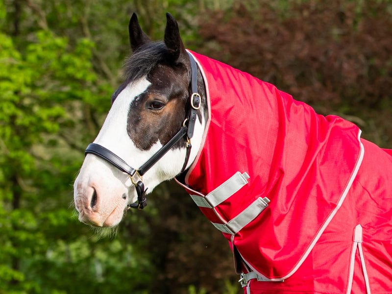 200g Turnout Rug Neck Cover - Red