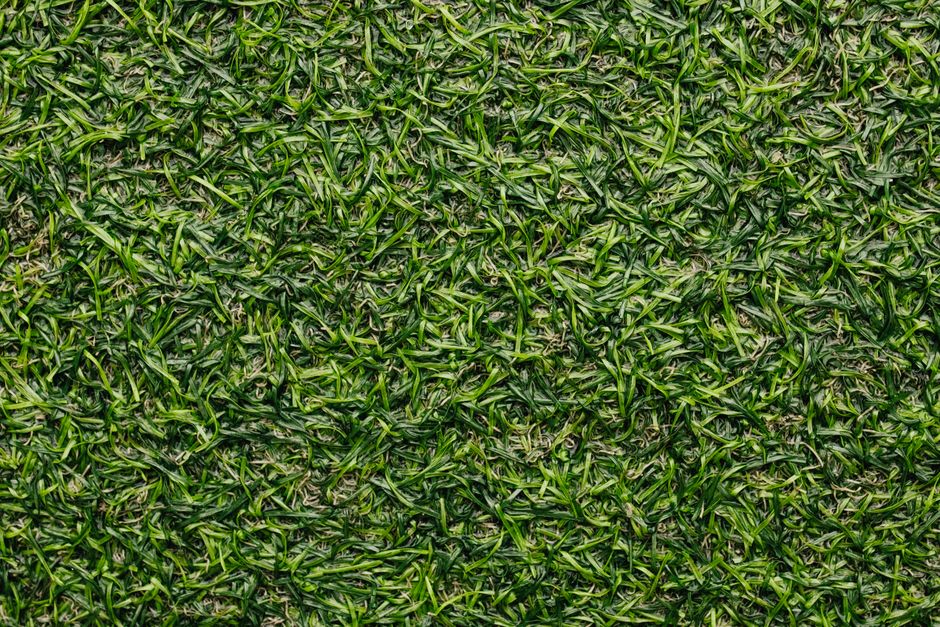 Detailed close-up image of green grass turf texture, perfect for backgrounds.