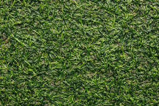 Detailed close-up image of green grass turf texture, perfect for backgrounds.