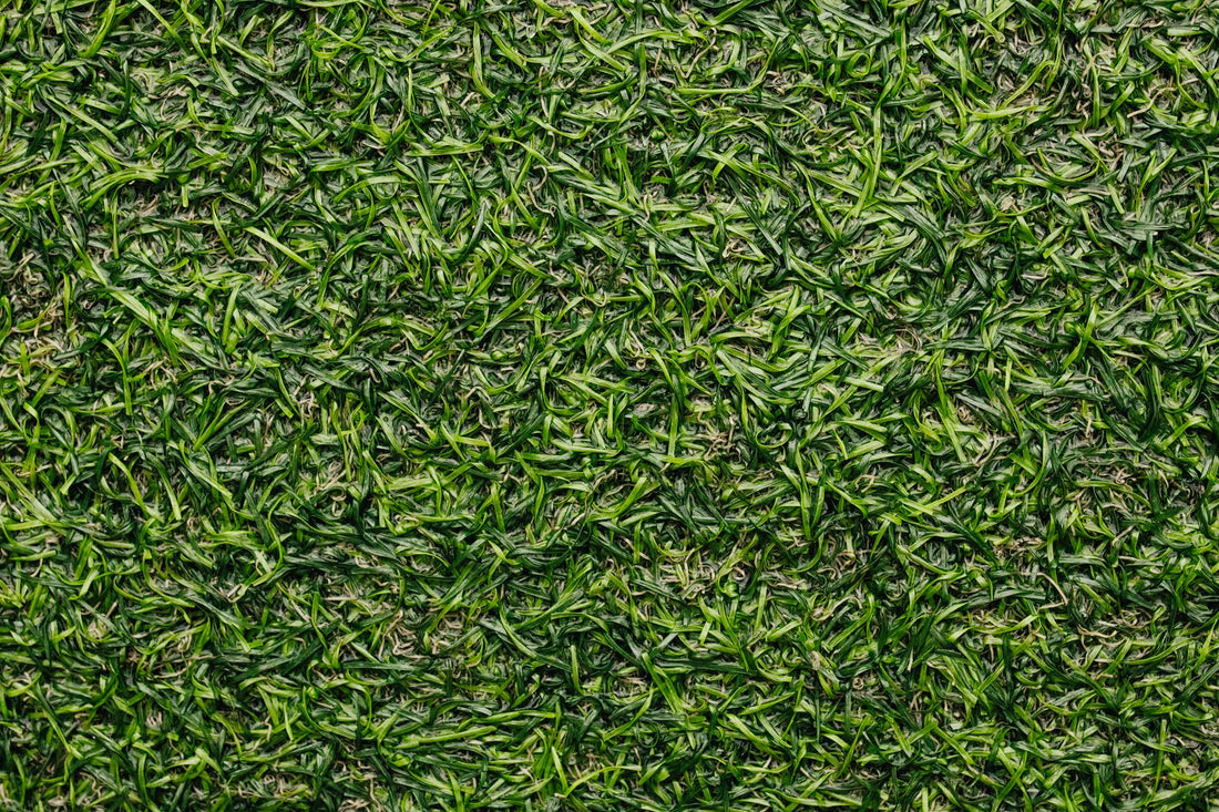 Detailed close-up image of green grass turf texture, perfect for backgrounds.