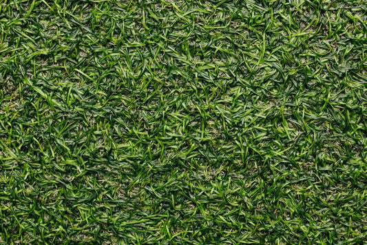 Detailed close-up image of green grass turf texture, perfect for backgrounds.