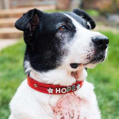 Personalised Custom Leather Collar