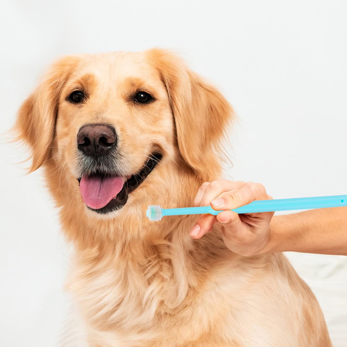 2 Pack Small Dog & Cat Toothbrush,360 Degree Soft Silicone Pet Toothbrush Cat Dental Care Dog Oral Hygiene Deep Clean Pet Teeth Cleaning Kit (Small Size)