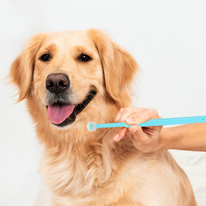 2 Pack Small Dog & Cat Toothbrush,360 Degree Soft Silicone Pet Toothbrush Cat Dental Care Dog Oral Hygiene Deep Clean Pet Teeth Cleaning Kit (Small Size)