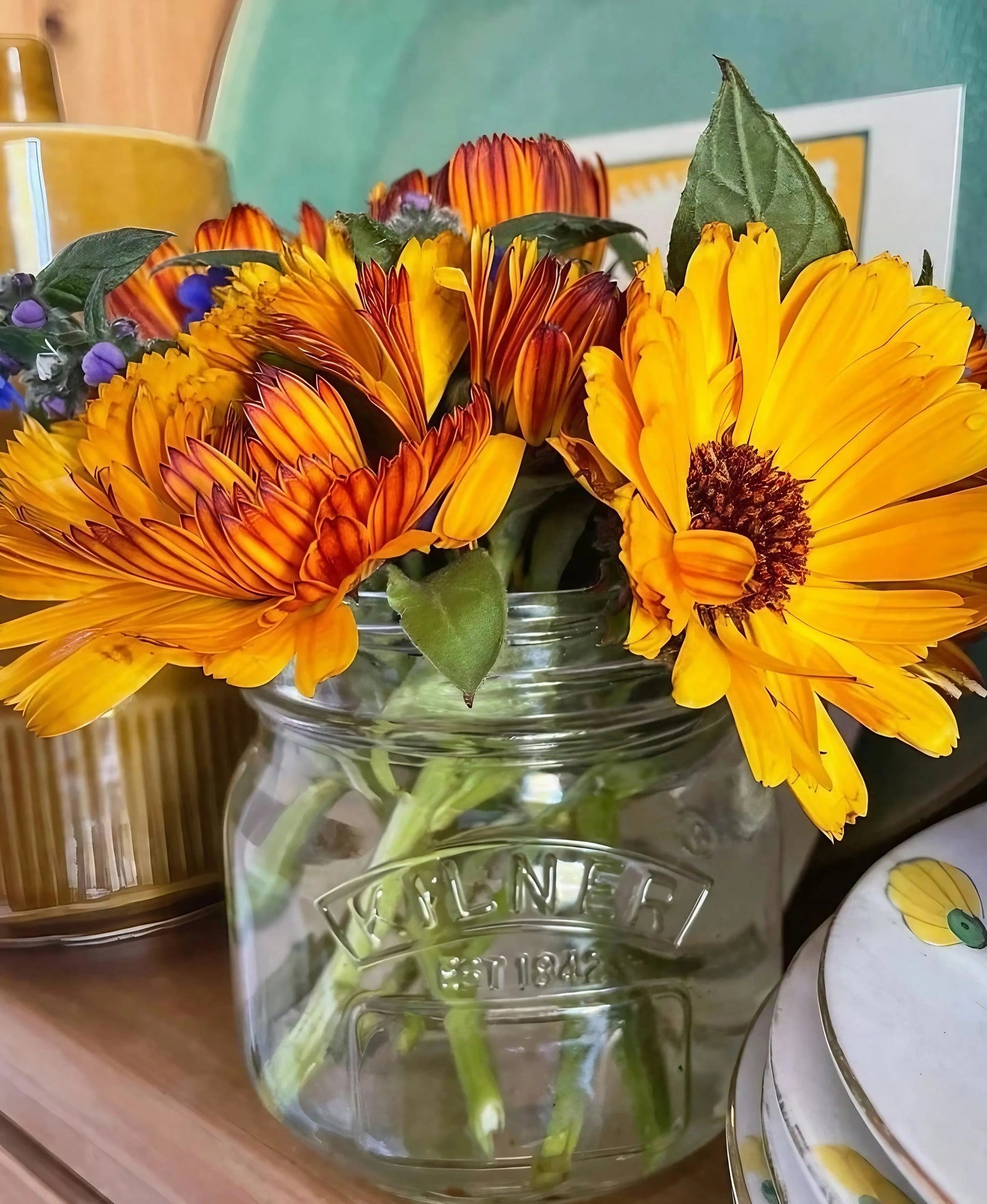 Calendula Touch of Red