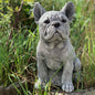 Dog Ornaments, Statue Garden Decoration Resin Ornaments