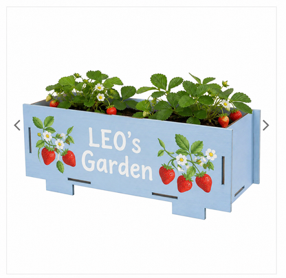 Kids Garden Mini Planter Starter Pack – Little Gardeners, Big Adventures