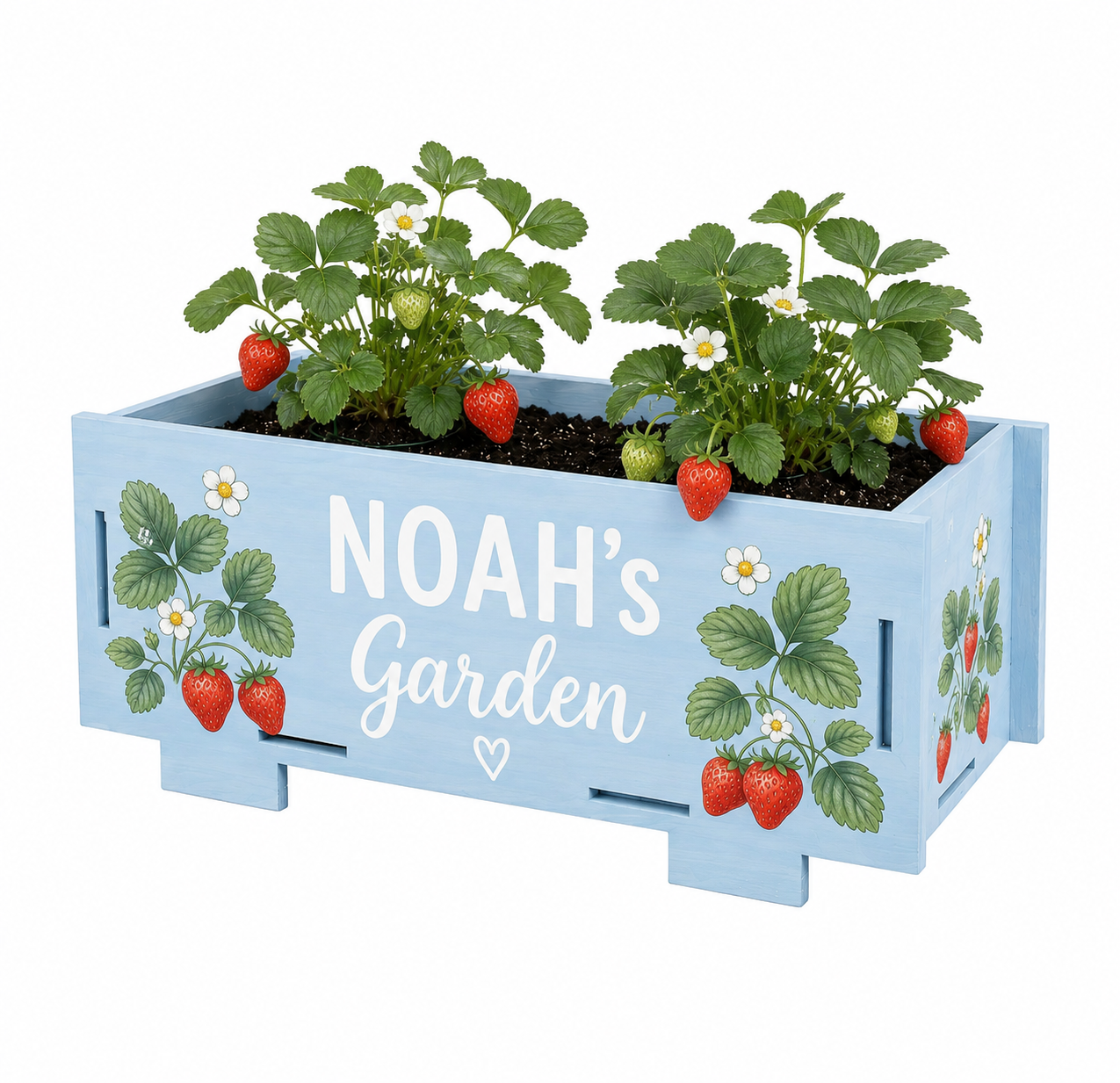 Kids Garden Mini Planter Starter Pack – Little Gardeners, Big Adventures