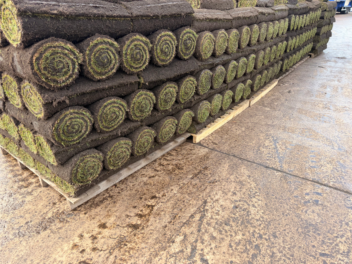 20 Quality Turf Rolls £153 Including Delivery