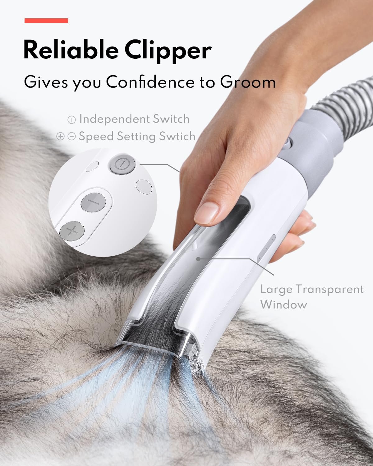 HomeRunPet Ultra Quiet Pet Vacuum, Suction 99% pet Hair, 6 Tool Grooming Kit, Anti Shedding, 1.85L Dust Cup, Home Grooming & Cleaning for Dogs, Cats, Others