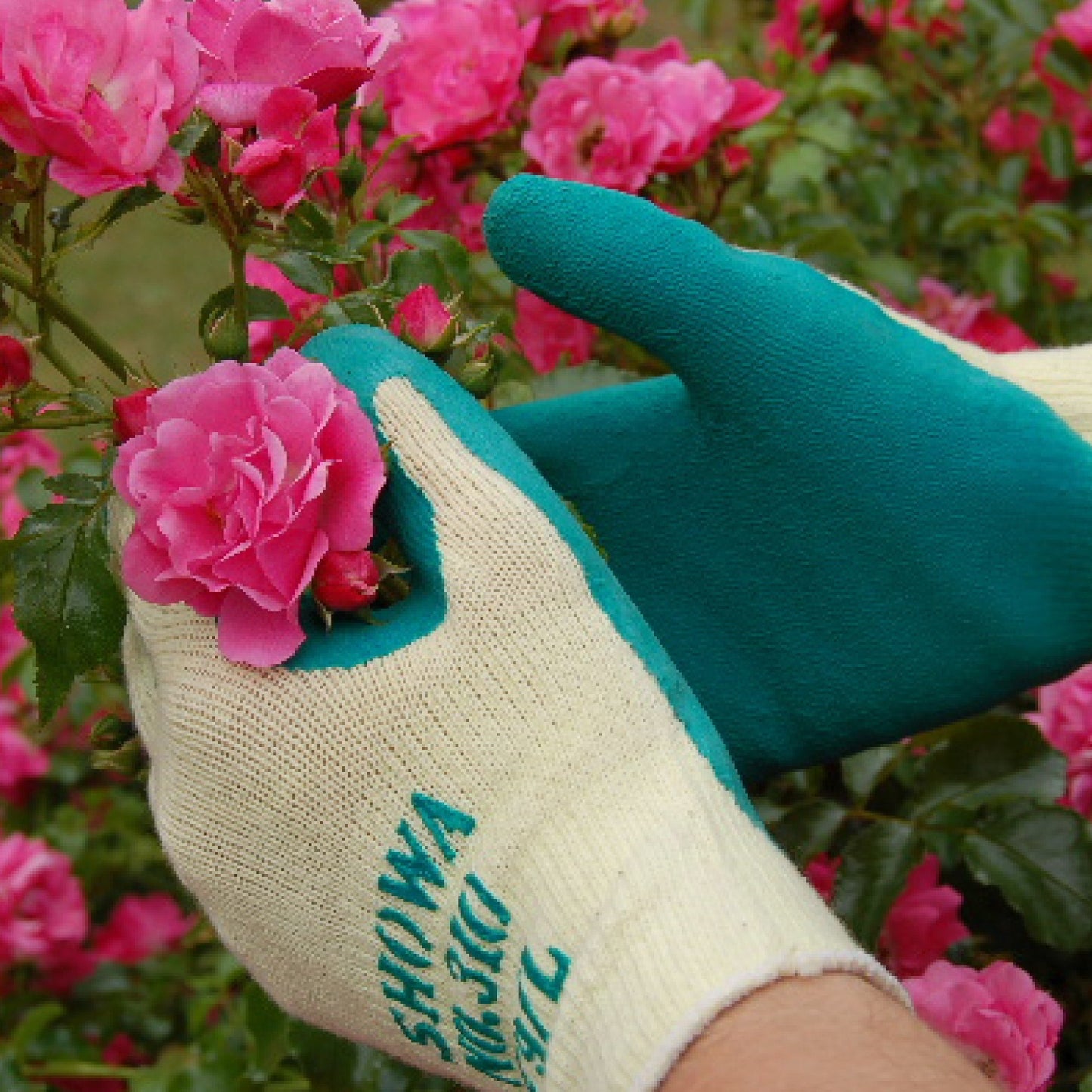 Gardening Gloves and Landscaping Gloves - SHOWA 310