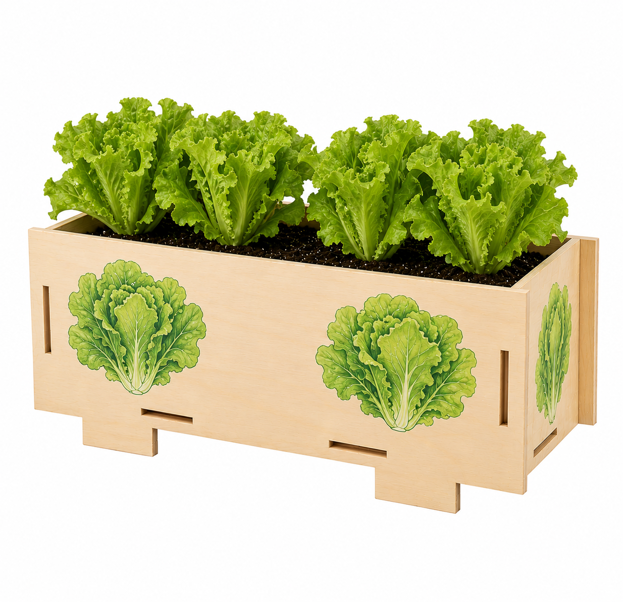 Kids Garden Mini Planter Starter Pack – Little Gardeners, Big Adventures
