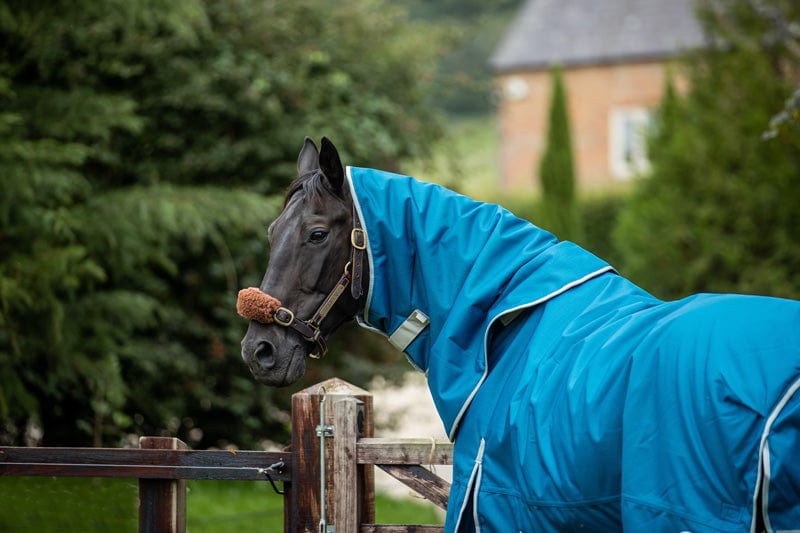 100g Detachable Neck Turnout Rug - Turquoise