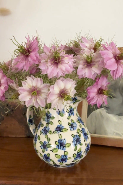 Nigella Mulberry Rose (Love-in-a-mist)