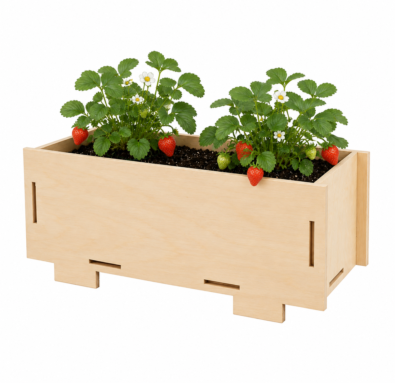 Kids Garden Mini Planter Starter Pack – Little Gardeners, Big Adventures