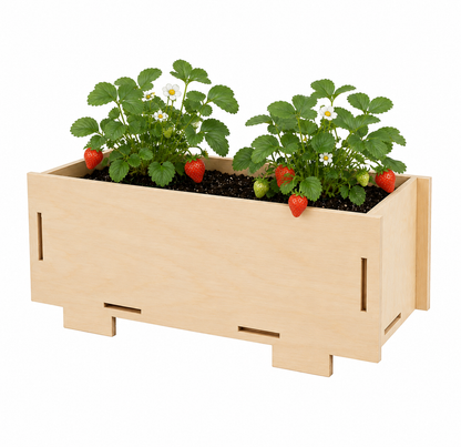 Kids Garden Mini Planter Starter Pack – Little Gardeners, Big Adventures
