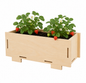 Kids Garden Mini Planter Starter Pack – Little Gardeners, Big Adventures