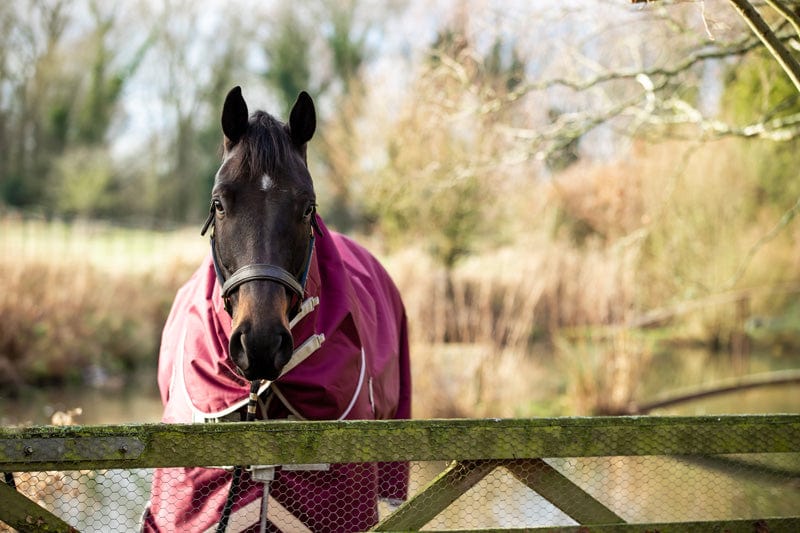0g Detachable Neck Turnout Rug - Burgundy
