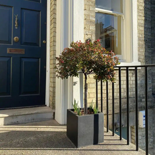 IDEALIST Lite Contemporary Flower Box Square Garden Planter, Light Concrete Outdoor Plant Pot H30 L30 W30 cm, 27L