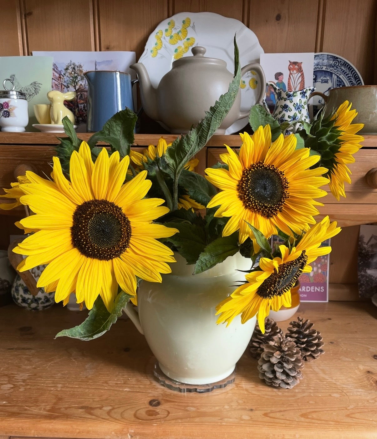 Sunflower Waooh!