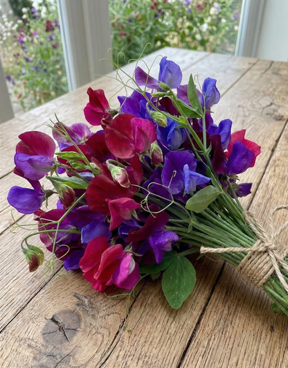Sweet Pea Old Spice Starry Night