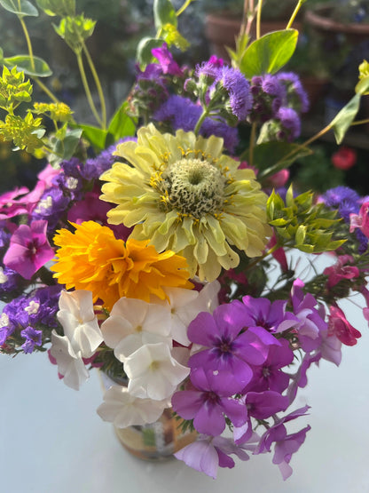 Zinnia Green Envy