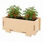 Kids Garden Mini Planter Starter Pack – Little Gardeners, Big Adventures