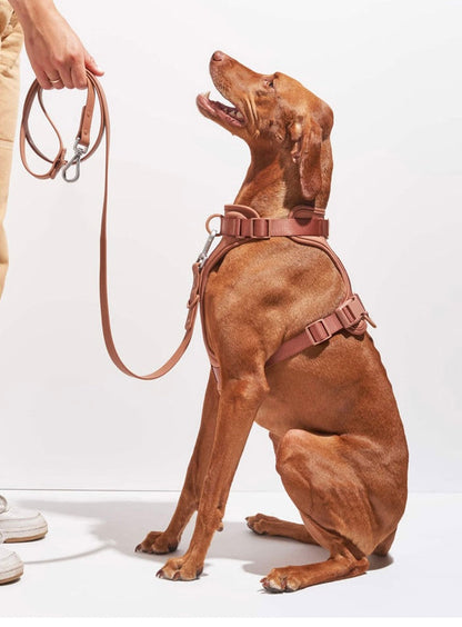 Premium Dog & Cat Harness and Lead Set – Elegant, Adjustable & Ultra-Comfortable