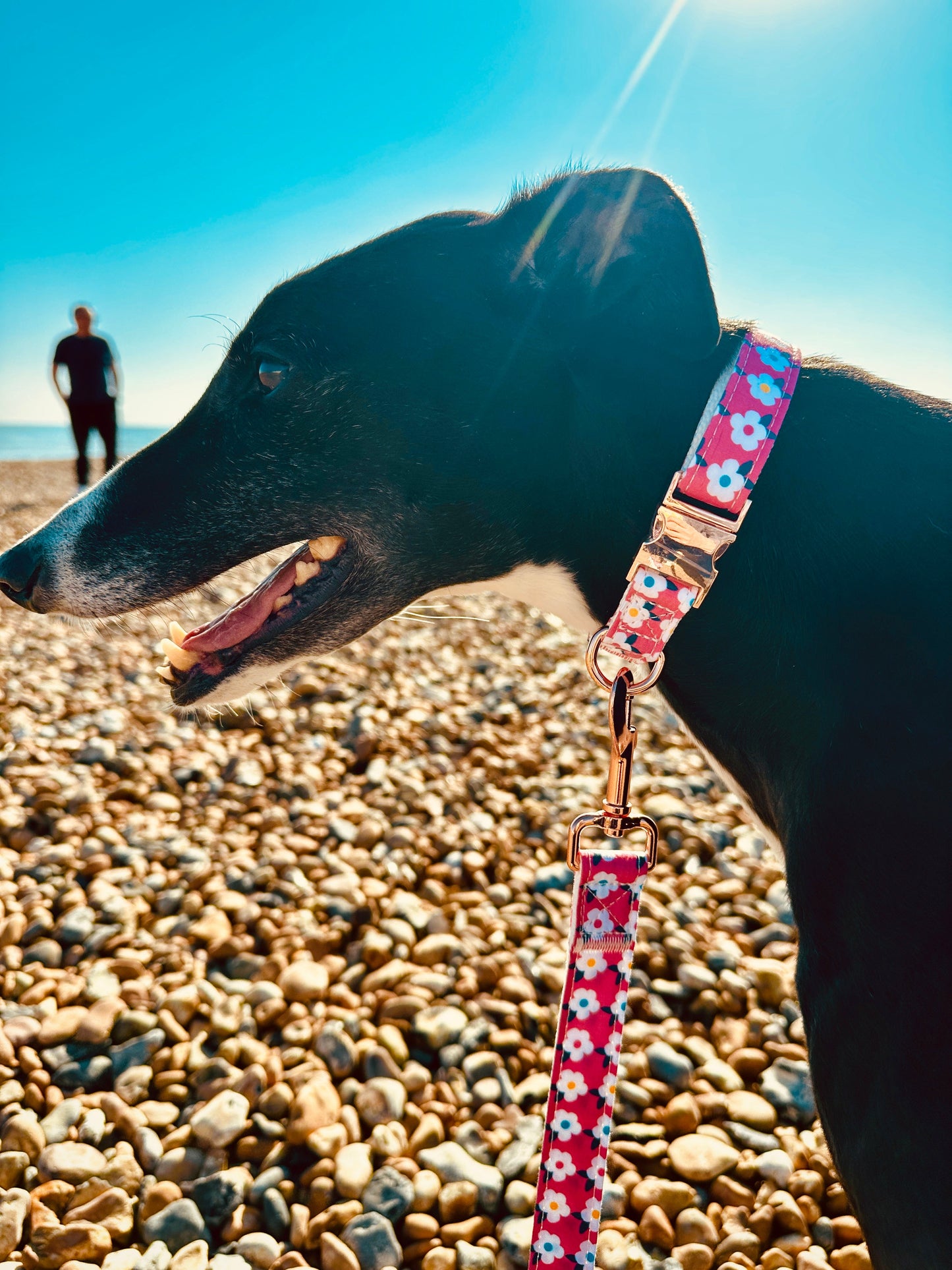 Retro Floral Dog Collar and Lead Set in Rose Pink with Rose Gold Hardware by happyhounds