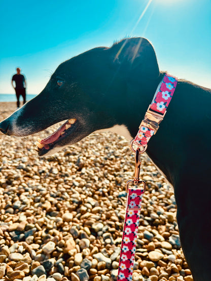 Retro Floral Dog Collar and Lead Set in Rose Pink with Rose Gold Hardware by happyhounds