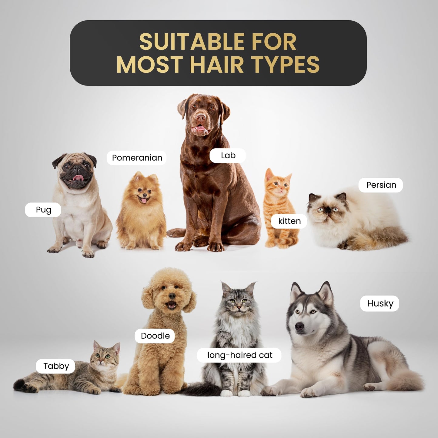 Pet Grooming Comb for Dogs and Cats - Detangling, Dematting, and Massaging with Self-Cleaning Button - Pet Care, New Puppy Gift, New Kitten Gift, Pet Grooming, Luxury Pet Care, Undercoat Rake