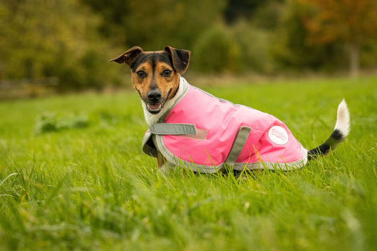 Waterproof Dog Coat - High Viz Pink