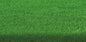 Finest Lawn Seed