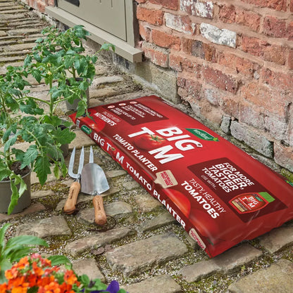 Westland Big Tom Peat Free Tomato Planter Compost Veg Grow Bag 50L Feed 6 Weeks - Free Delivery