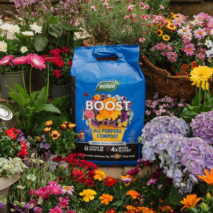 Westland Boost Compost Peat Free Flowers Pots Containers Baskets Garden 25L - Free Delivery