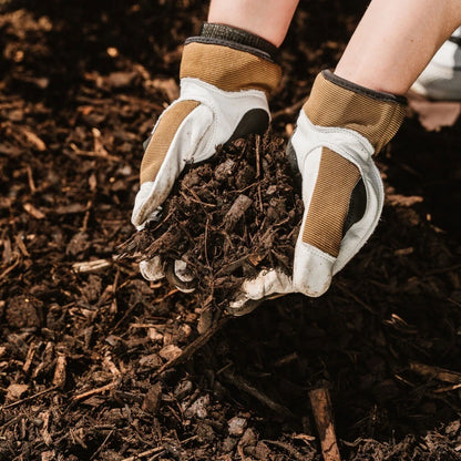Westland Landscape Bark Chippings 100L 30 50mm Mulch Weed Control Garden - Free Delivery