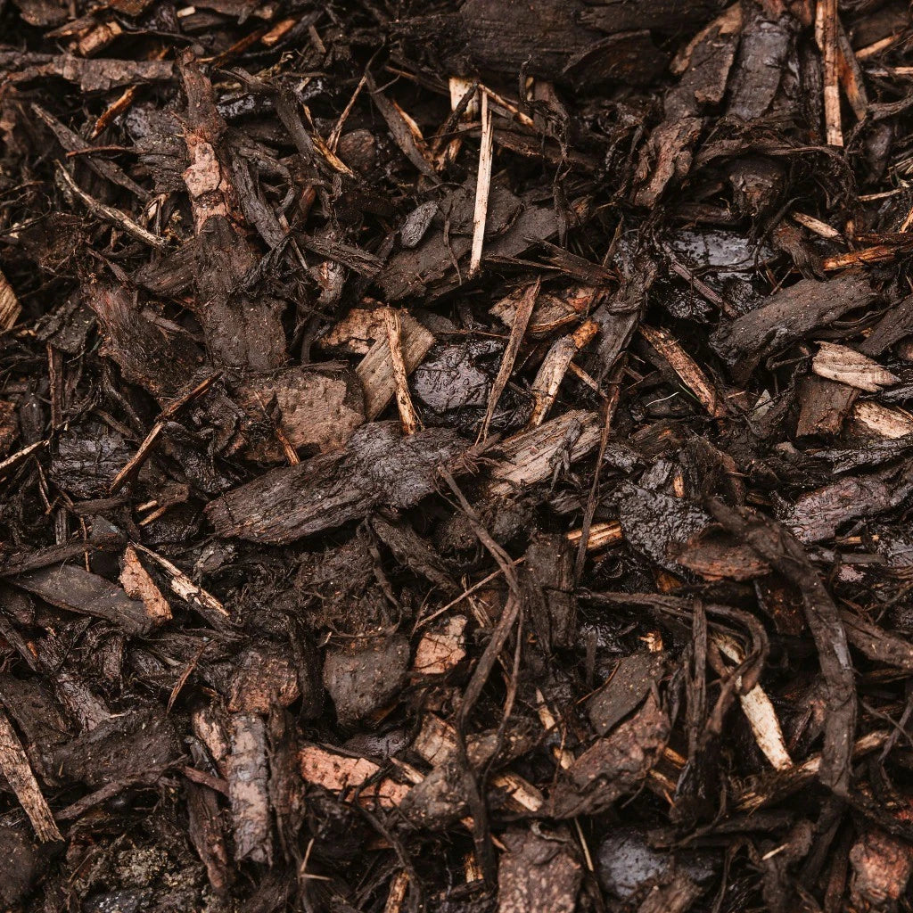 Westland Landscape Bark Chippings 100L 30 50mm Mulch Weed Control Garden - Free Delivery