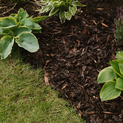 Westland Landscape Bark Chippings 100L 30 50mm Mulch Weed Control Garden - Free Delivery