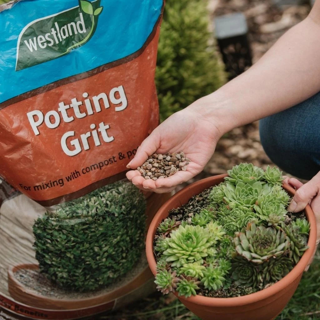 Westland Potting Grit 20kg Horticultural Grit for Plant Drainage & Soil Mix - Free Delivery