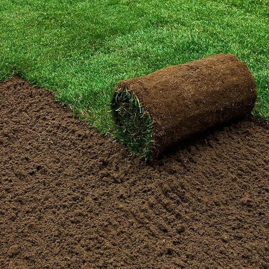 Westland Lawn & Turf Dressing 25L Lawn Repair Soil Mix Grass Turf Base - Free Delivery