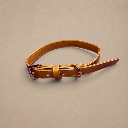 Alfresco Pup vegan leather dog collar - camel colour buckle dog collar
