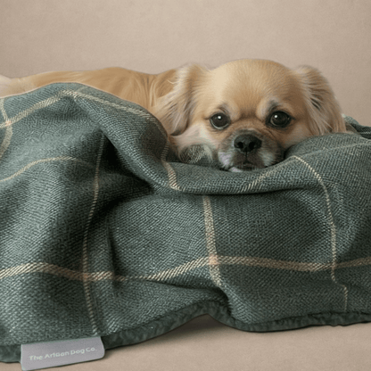 Arlo Forest Green Check Pet Blanket | Reversible Lambswool Sherpa | Handmade Luxury Dog Throw | Machine Washable UK