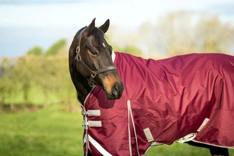 0g Detachable Neck Turnout Rug - Burgundy