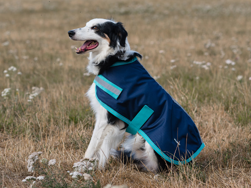 Classic Waterproof Dog Coat - Navy 250g