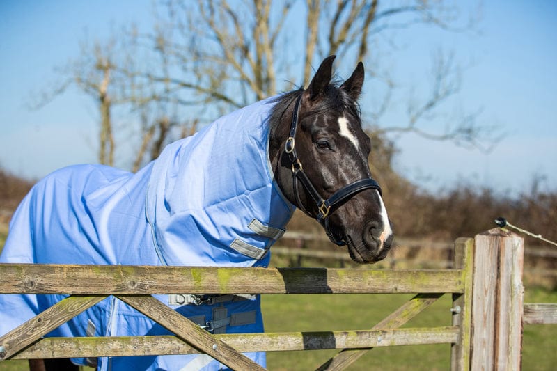 100g Detachable Neck Turnout Rug - Cornflower