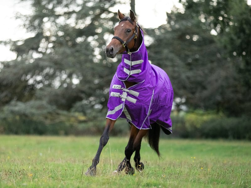 100g FIXED Neck Turnout Rug - Purple